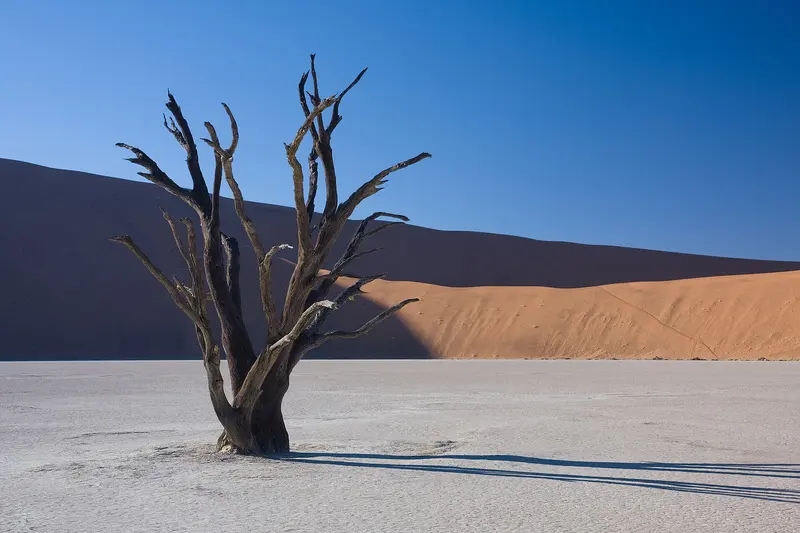 Dead Vlei 5