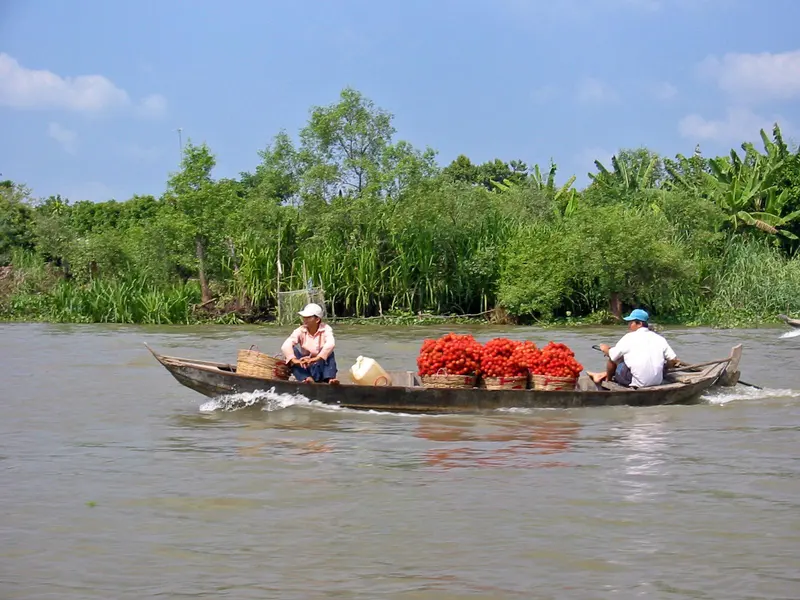 Mekong Delta Vietnam(1)